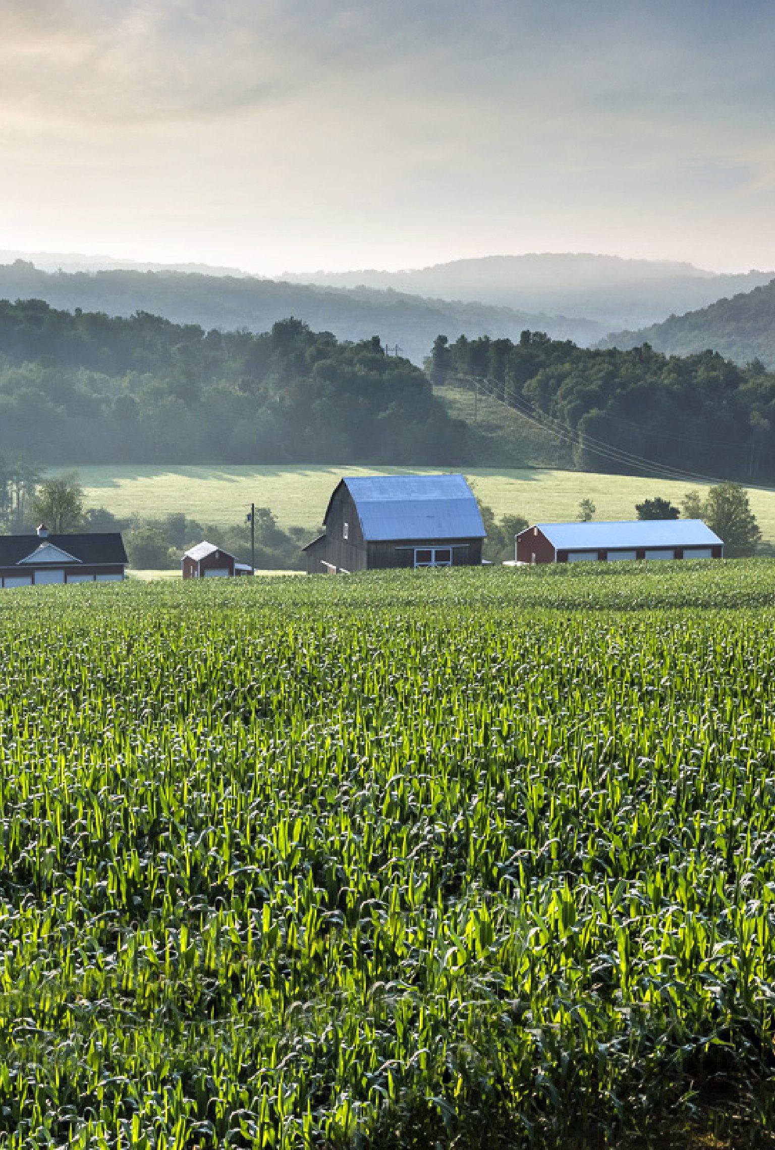 Land Management